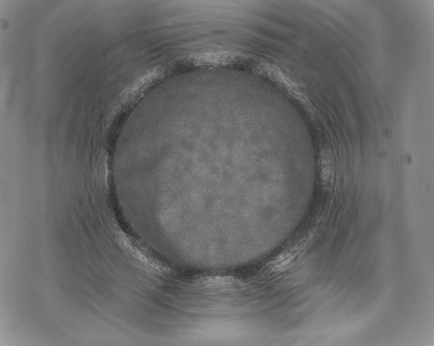 X0000072930637200608111536