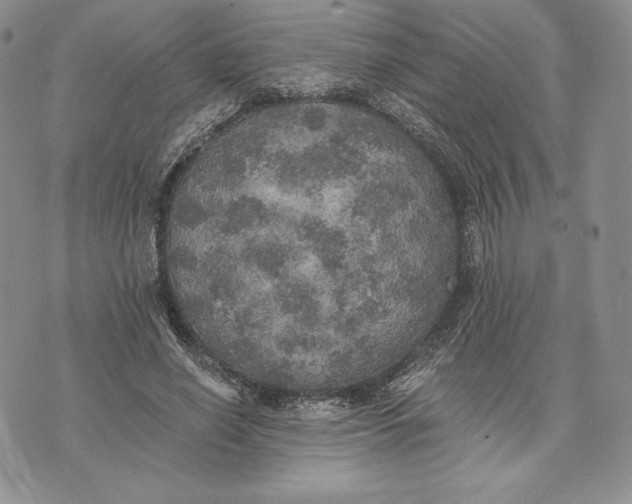 X0000072930638200608111536