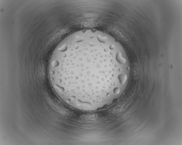 X0000072930639200608111536