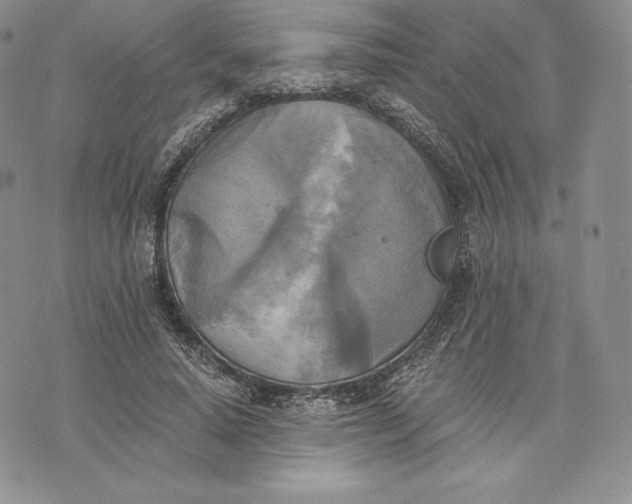 X0000072930640200608111536