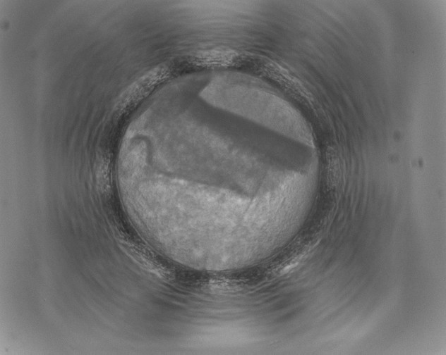 X0000072930641200608111536