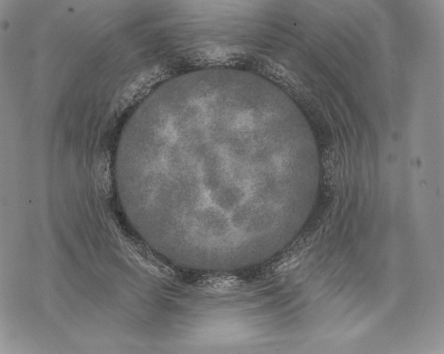 X0000072930642200608111536