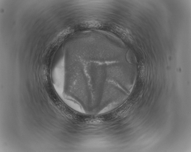 X0000072930643200608111536