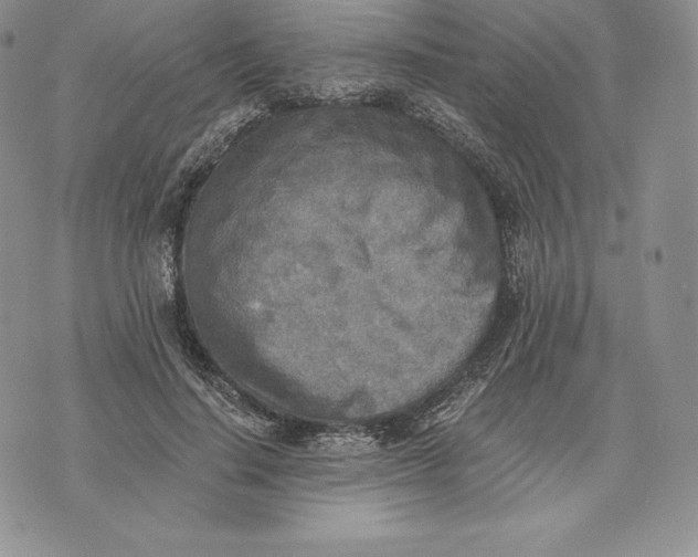 X0000072930644200608111536