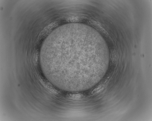 X0000072930645200608111536