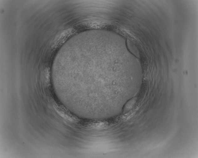 X0000072930646200608111536