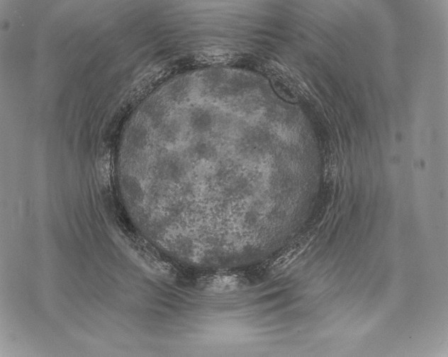 X0000072930647200608111536