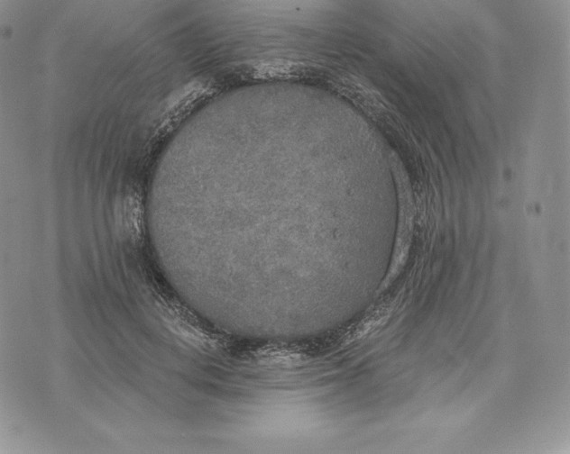 X0000072930648200608111536