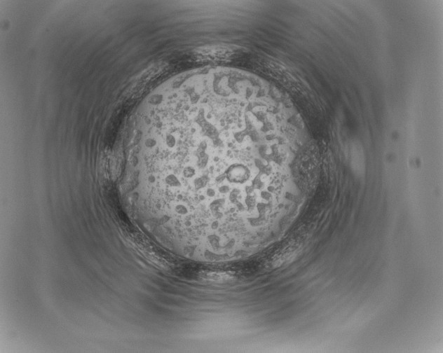 X0000072930649200608111536