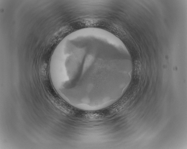 X0000072930650200608111536