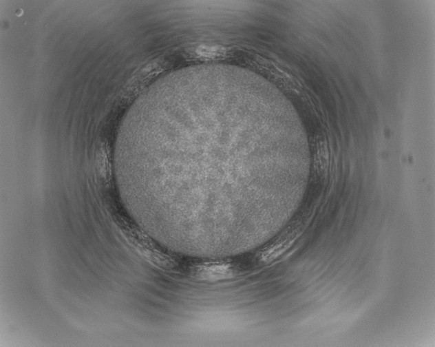 X0000072930651200608111536