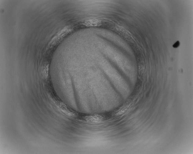 X0000072930652200608111536