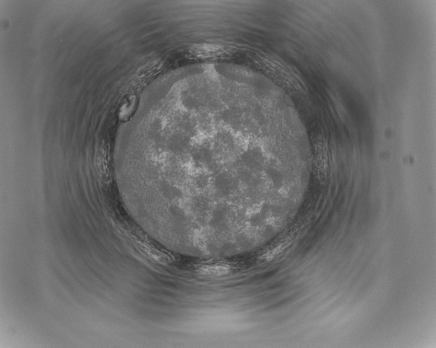 X0000072930653200608111536