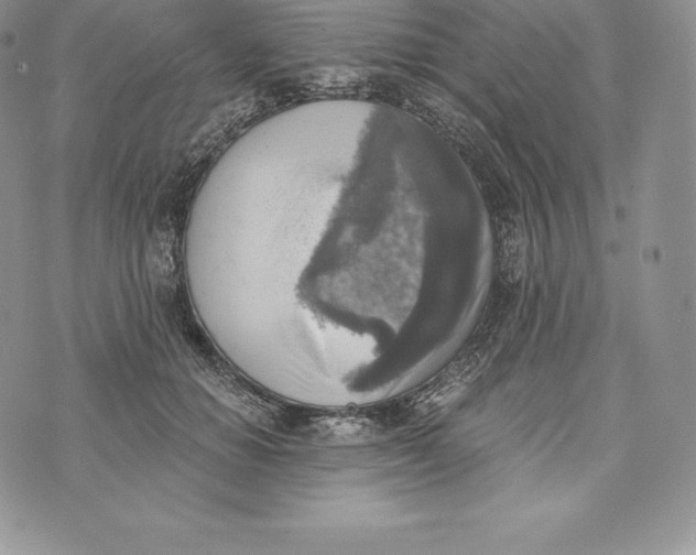 X0000072930654200608111536