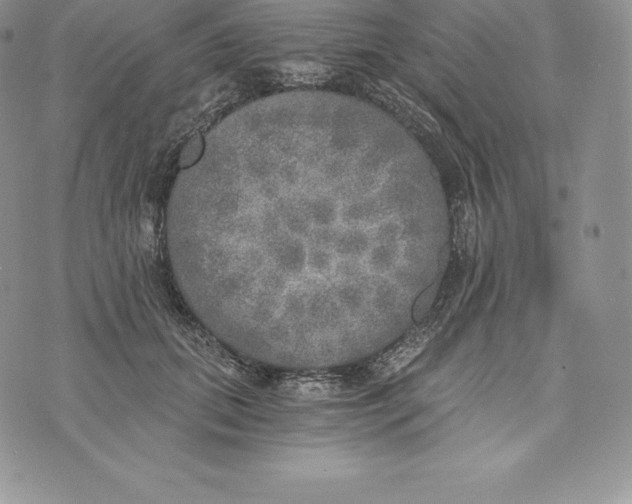 X0000072930655200608111536