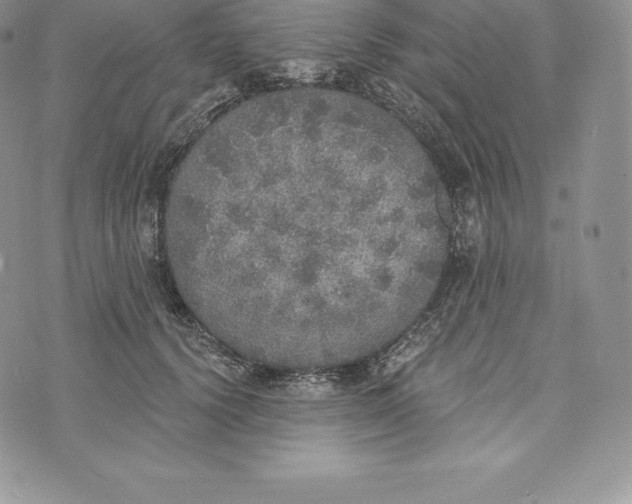 X0000072930656200608111536