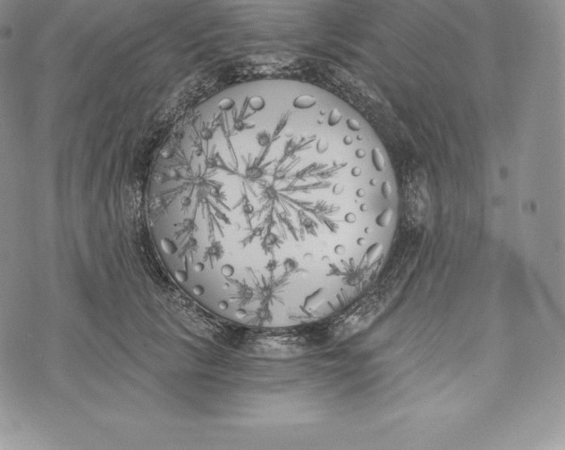 X0000072930657200608111536