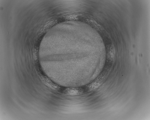 X0000072930658200608111536