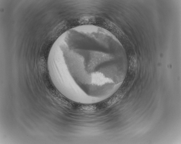 X0000072930659200608111536