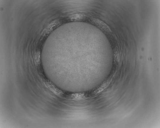 X0000072930660200608111536