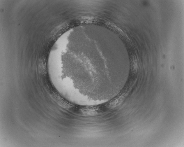 X0000072930661200608111536