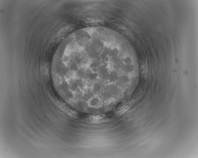 X0000072930662200608111537