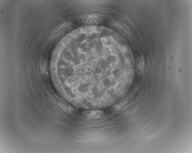 X0000072930663200608111537