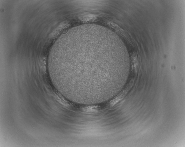 X0000072930664200608111537