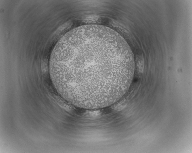 X0000072930665200608111537