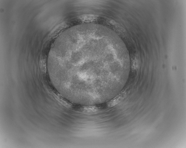 X0000072930666200608111537