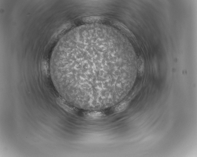 X0000072930669200608111537