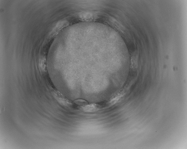 X0000072930671200608111537