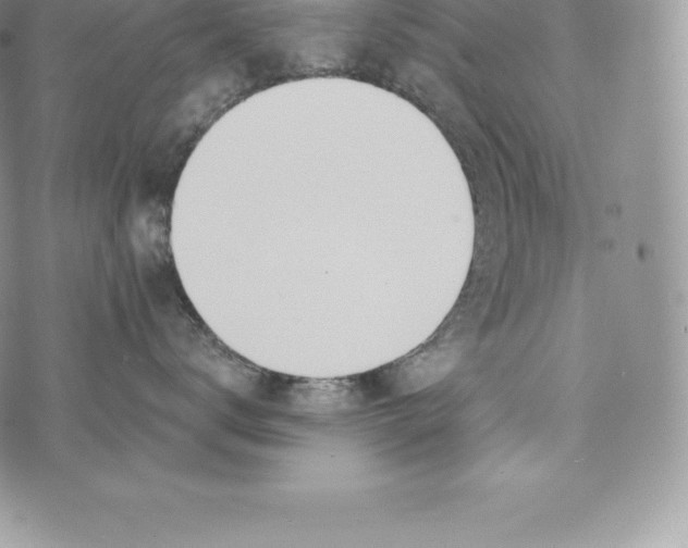 X0000072930672200608111537