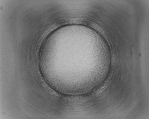 X0000072930673200608111536