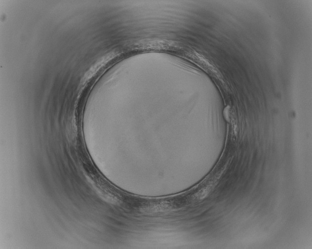 X0000072930674200608111536