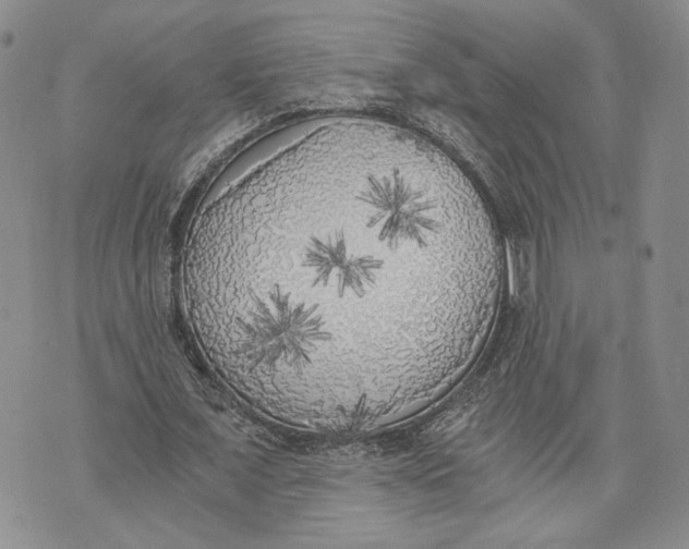 X0000072930675200608111536