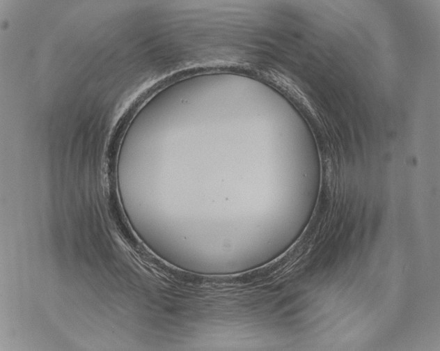 X0000072930676200608111536