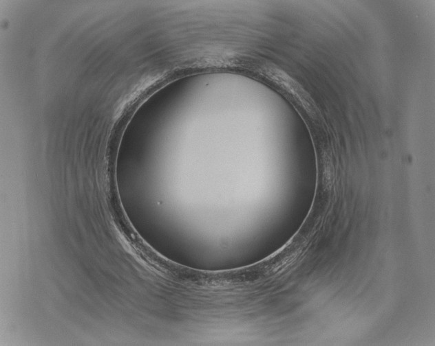 X0000072930677200608111536