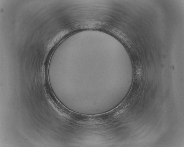 X0000072930678200608111536