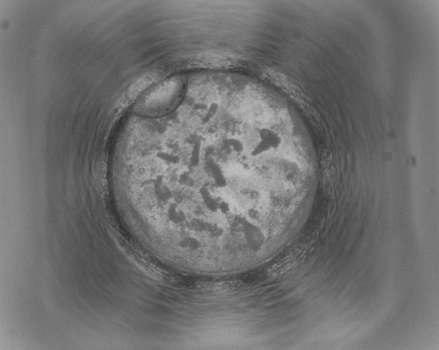 X0000072930679200608111536