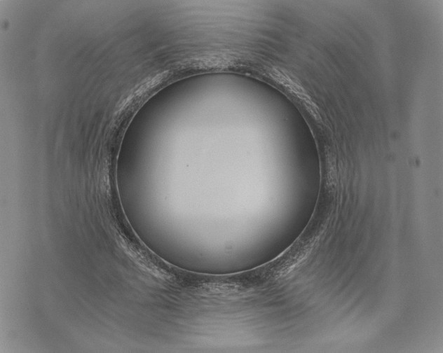 X0000072930681200608111536