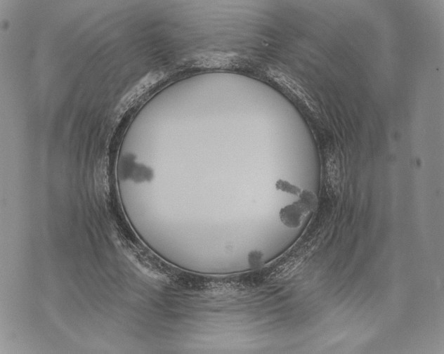 X0000072930682200608111536