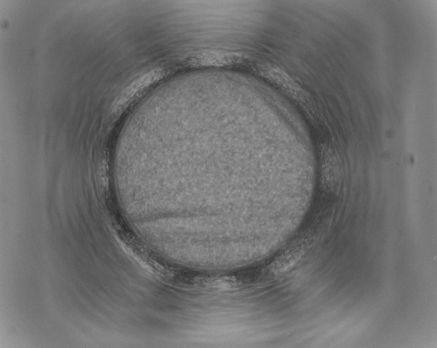 X0000072930683200608111536