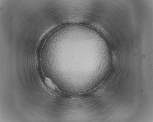 X0000072930684200608111536