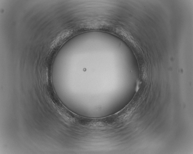 X0000072930685200608111536