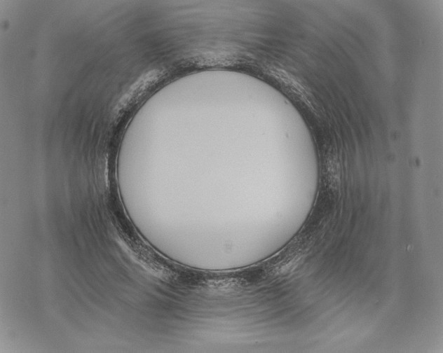 X0000072930686200608111536