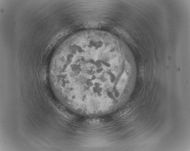 X0000072930687200608111536