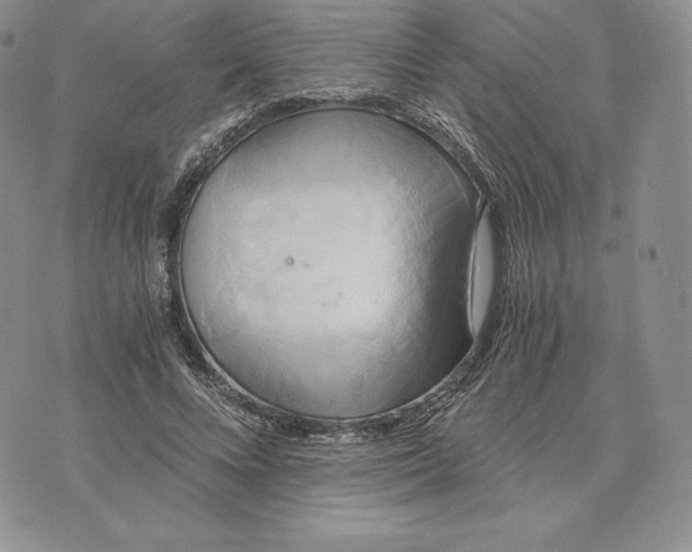 X0000072930688200608111536