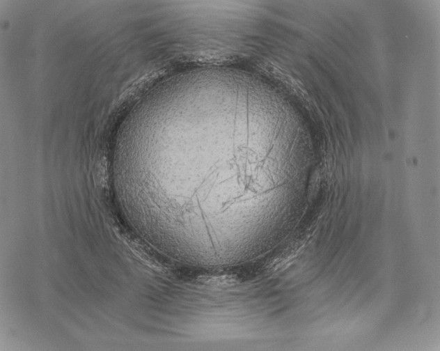 X0000072930689200608111536