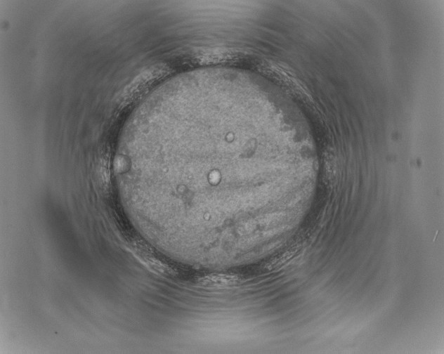 X0000072930691200608111536